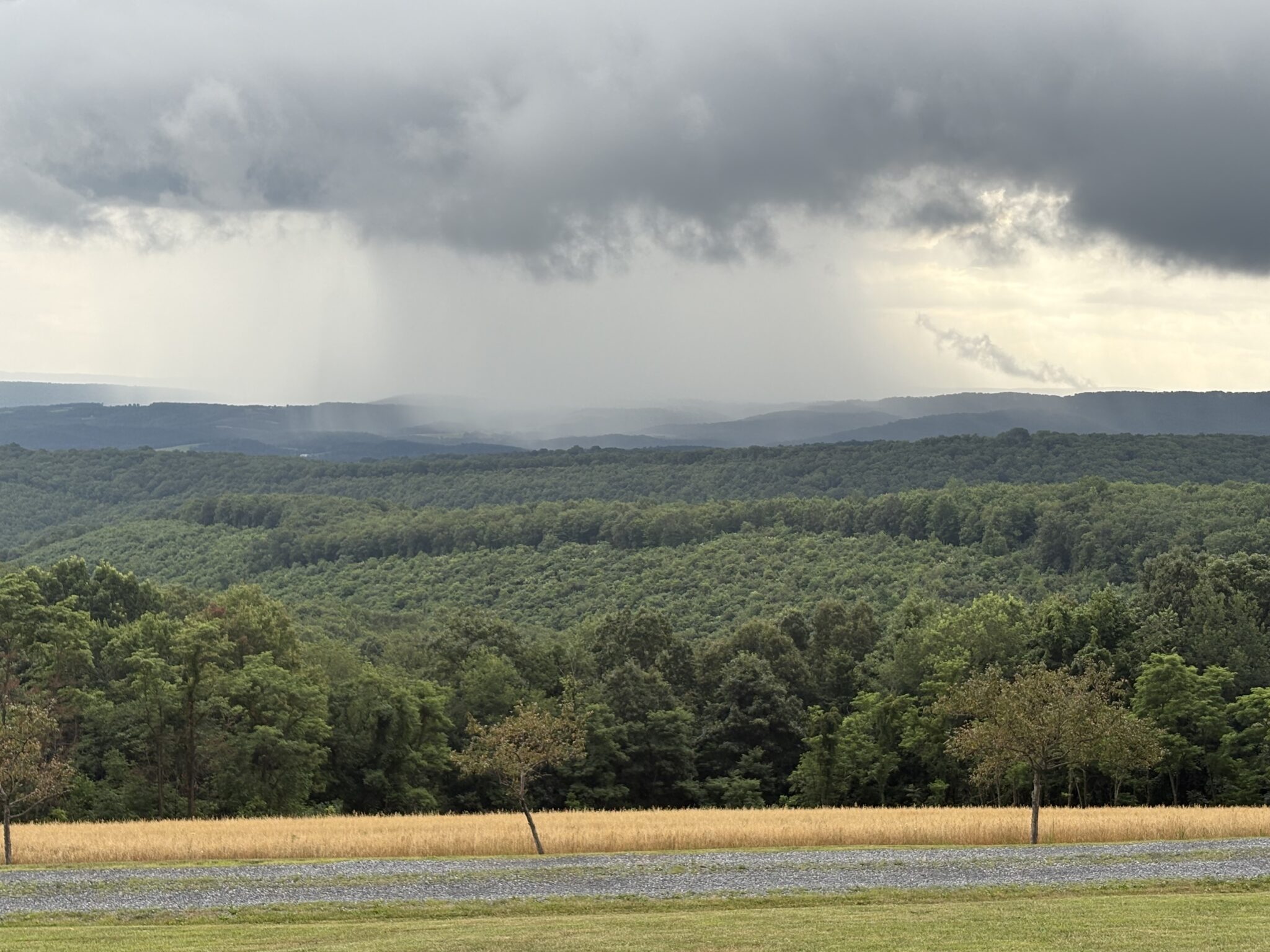 ClimatePower's tweet card. “We are seeing an increase in flooding caused by these isolated thunderstorms that are dumping ... six, seven, sometimes 12 inches of rain."