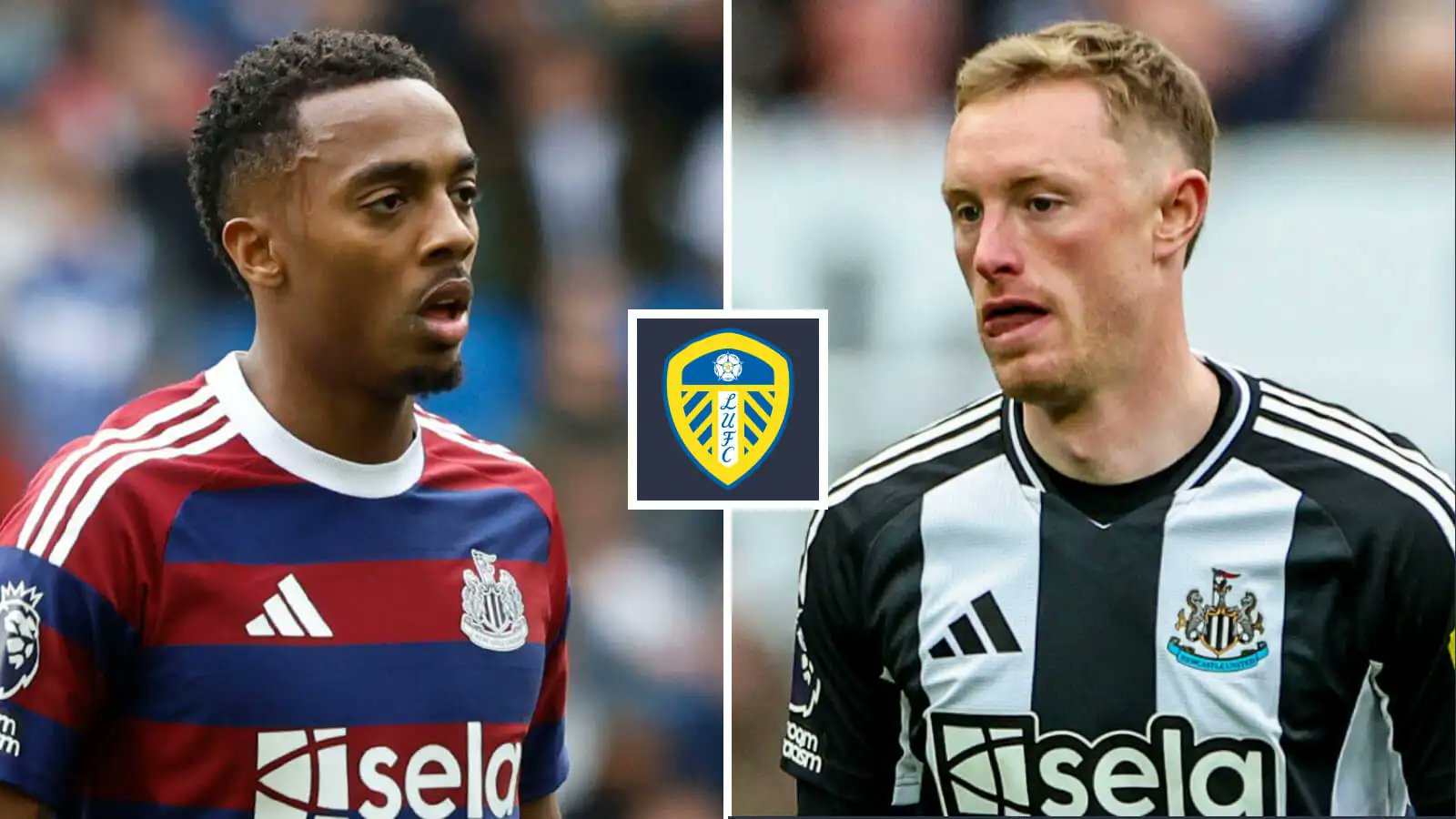 DarrenOWitcoop's tweet card. Leeds are stepping up their interest in Sean Longstaff and Shea Charles - but the Whites face a tough task in trying to land a second Newcastle star.