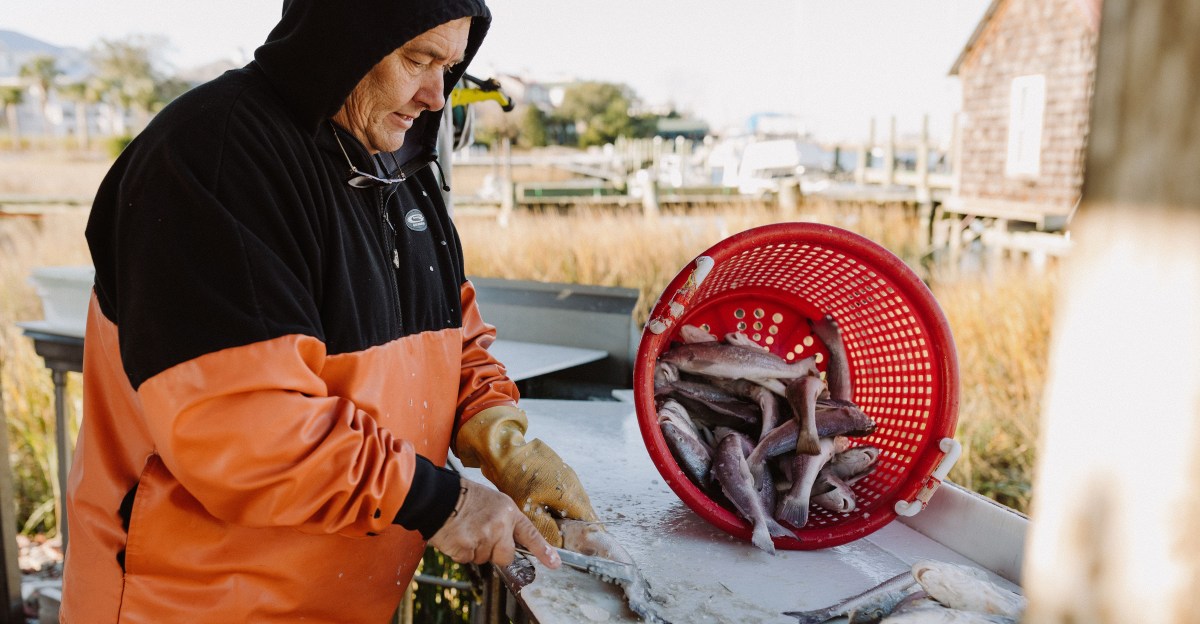 EaterCarolinas's tweet card. Commercial fisherman Mark Marhefka lost his ability to go out to sea after his boat was struck by lightning﻿