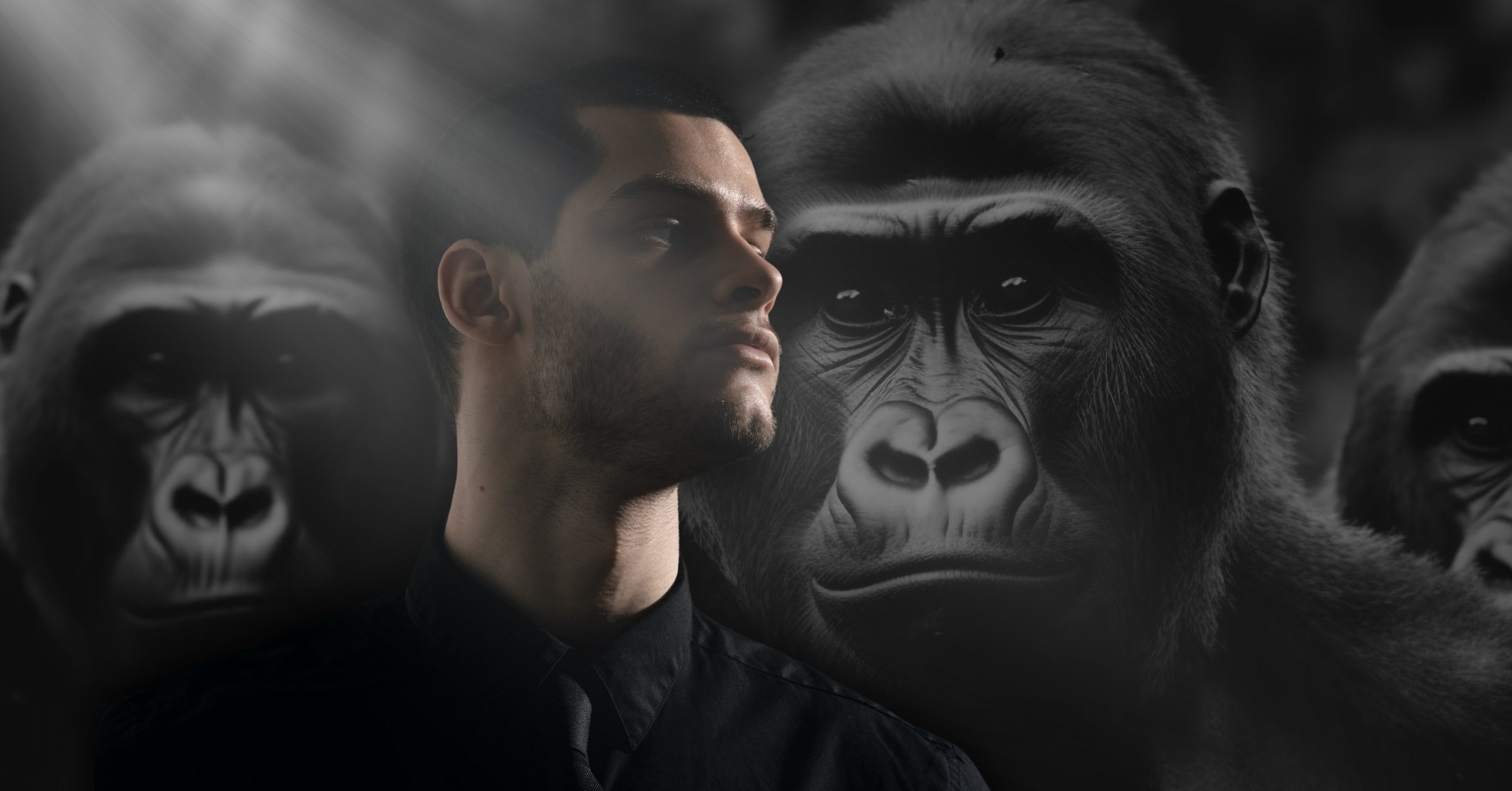DrFrankTurek's tweet card. The internet has been buzzing with a hypothetical: “Could 100 men defeat a fully grown gorilla in a fight?” As a former MMA fighter and coach, I’ve seen the limits of human strength—and the power of...