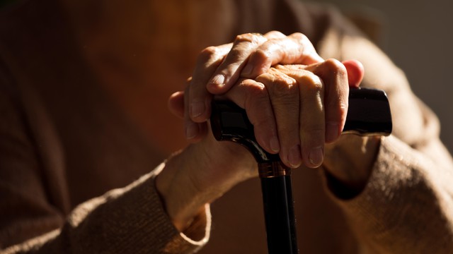 SwissCGNY's tweet card. An international team led by EPFL has discovered a powerful anti-aging pathway in roundworms, revealing how boosting the cell’s lysosomes can help clear waste and promote healthy aging. The findings...
