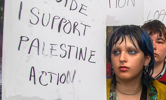 SabriSun_Miller's tweet card. Hundreds of Palestine Action supporters plan to get arrested in a mass summer demonstration, planning documents reveal.