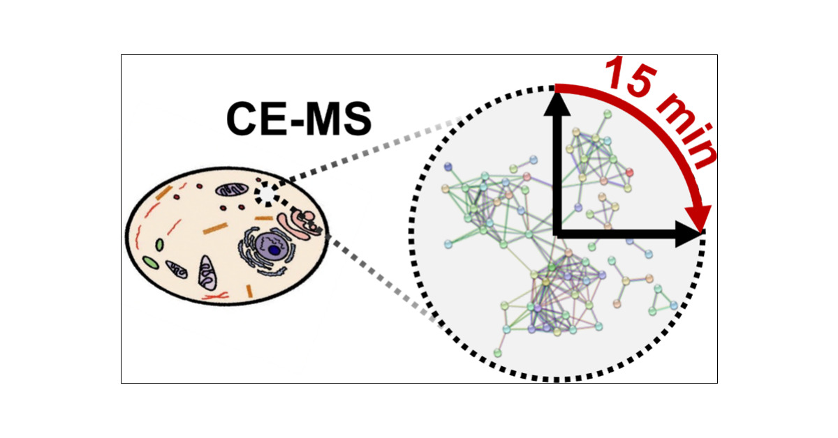 NemesLab's tweet card. Separation in single-cell mass spectrometry (MS) improves molecular coverage and quantification; however, it also elongates measurements, thus limiting analytical throughput to study large populati...