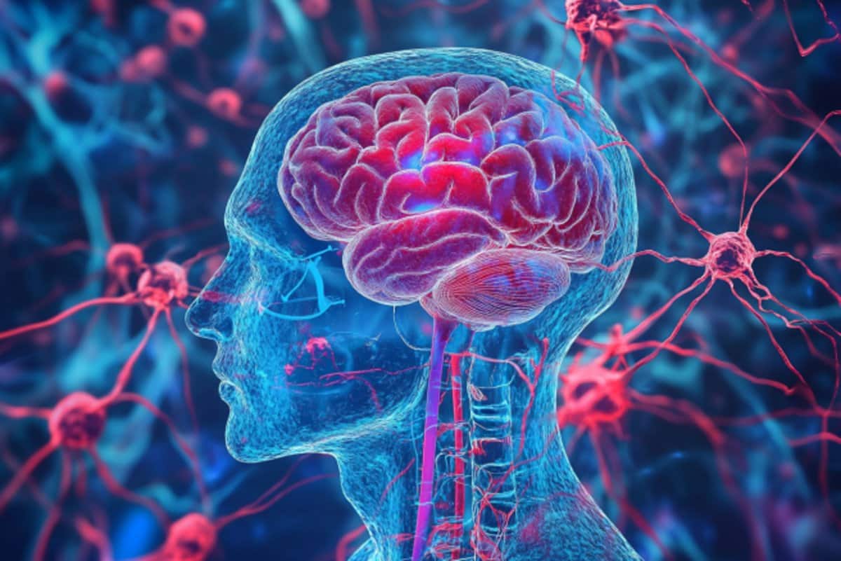 bethshirley77's tweet card. New research suggests that erythritol, a popular low-calorie sweetener, may impair blood vessel health by disrupting the brain’s production of nitric oxide.