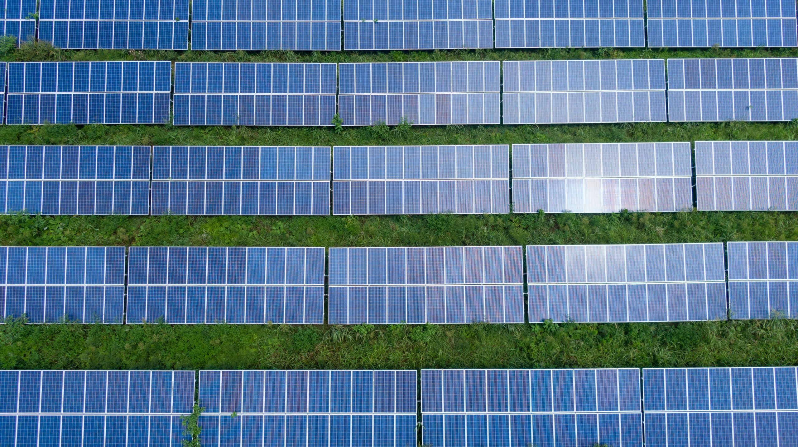 Th_Midwesterner's tweet card. A lawsuit recently filed by DTE Energy could have a significant impact on the state’s ability to meet Gov. Gretchen Whitmer’s ambitious climate goals. DTE Energy filed a lawsuit against St. Clair...