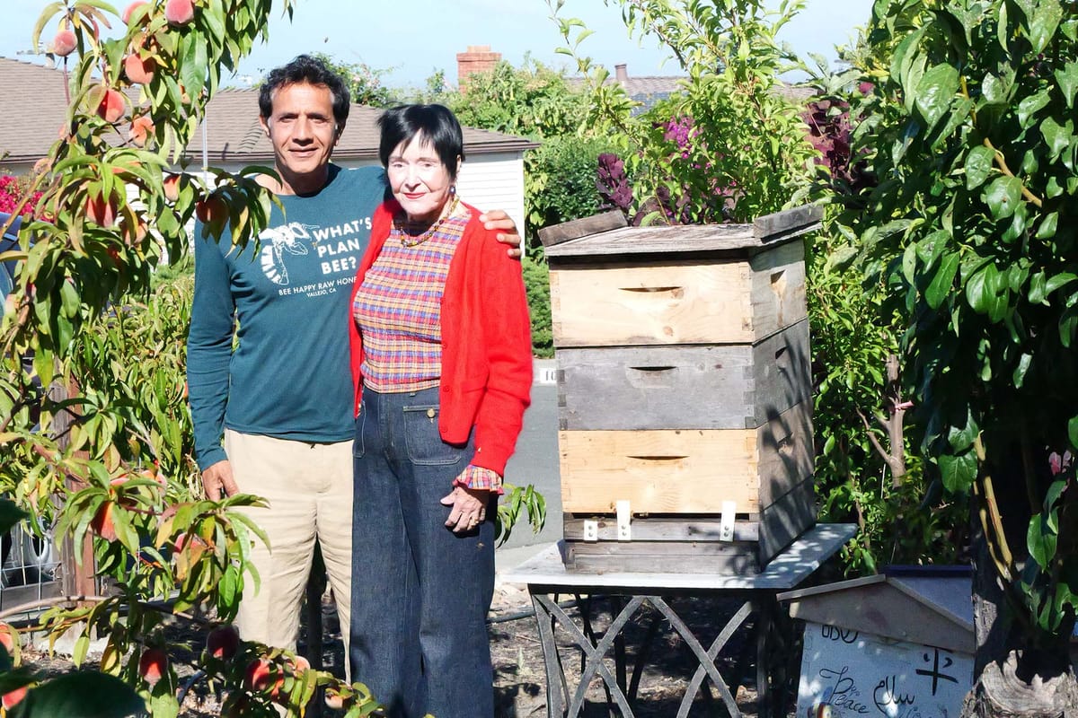 thevallejosun's tweet card. Haroon Rasheed, founder of Bee Happy Raw Honey, promotes natural beekeeping and urban farming through community involvement and environmental education.