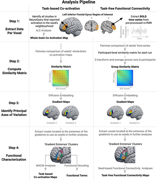 DiveicaV's tweet card. Abstract. The left inferior frontal gyrus has been ascribed key roles in numerous cognitive domains, such as language and executive function. However, its