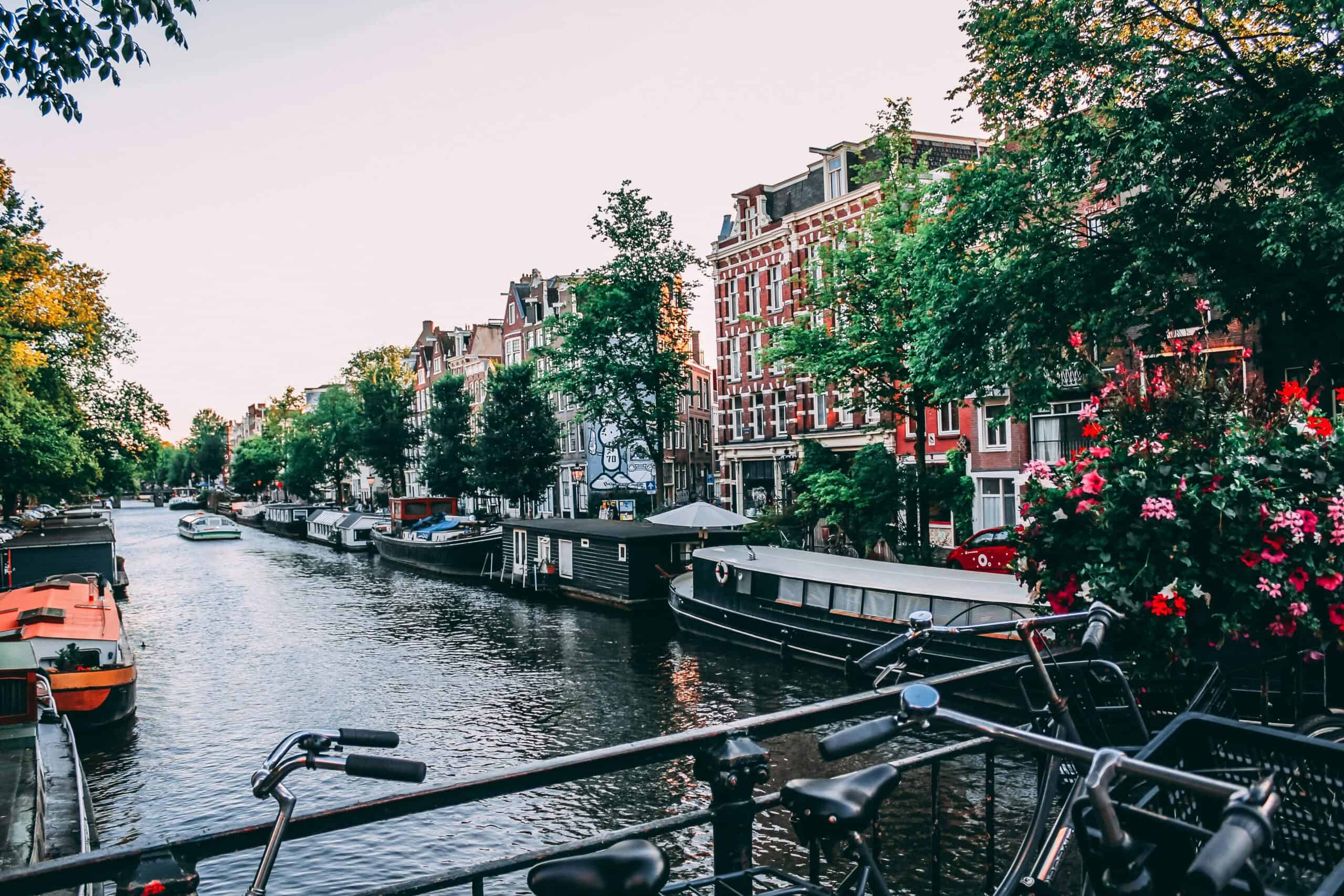 ThePIENews's tweet card. The Dutch government has scrapped a proposed measure intended to reduce the number of English-taught degrees in the Netherlands.