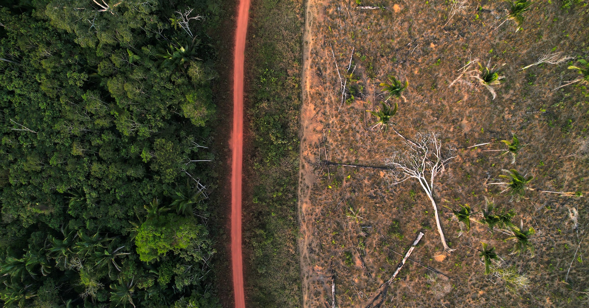 jakespring's tweet card. How a system designed to protect the world’s biggest rainforest is funding businesses with a track record of illegal deforestation.