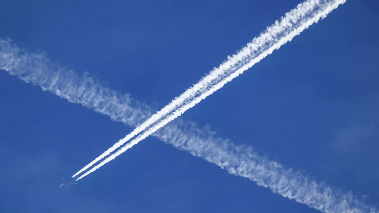 BenLesh's tweet card. A bill that would ban "chemtrails" has passed in the Louisiana state House of Representatives.