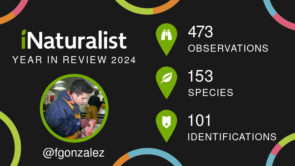 fgonfishecol's tweet card. Francisco González Carrión's highlights and stats from 2024 on iNaturalist