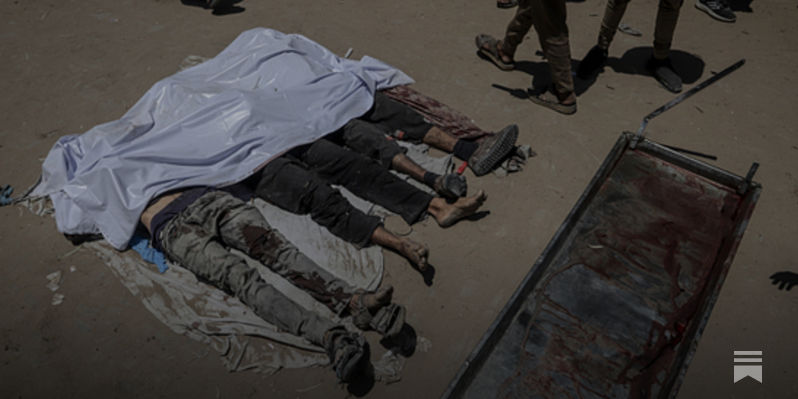 sharifkouddous's tweet card. A frontline report on a people forced to face death from starvation or being shot in a perilous quest to obtain meager rations