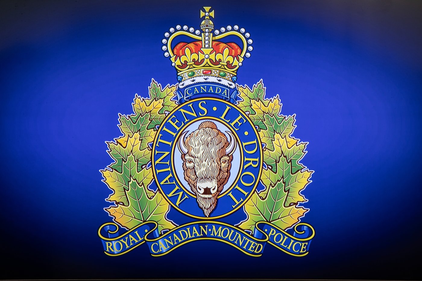 citynewscalgary's tweet card. Alberta RCMP’s auto theft unit busted an organized vehicle theft ring that they have been investigating since December 2024. Seven people are facing 99 criminal charges. RCMP say they began investi...