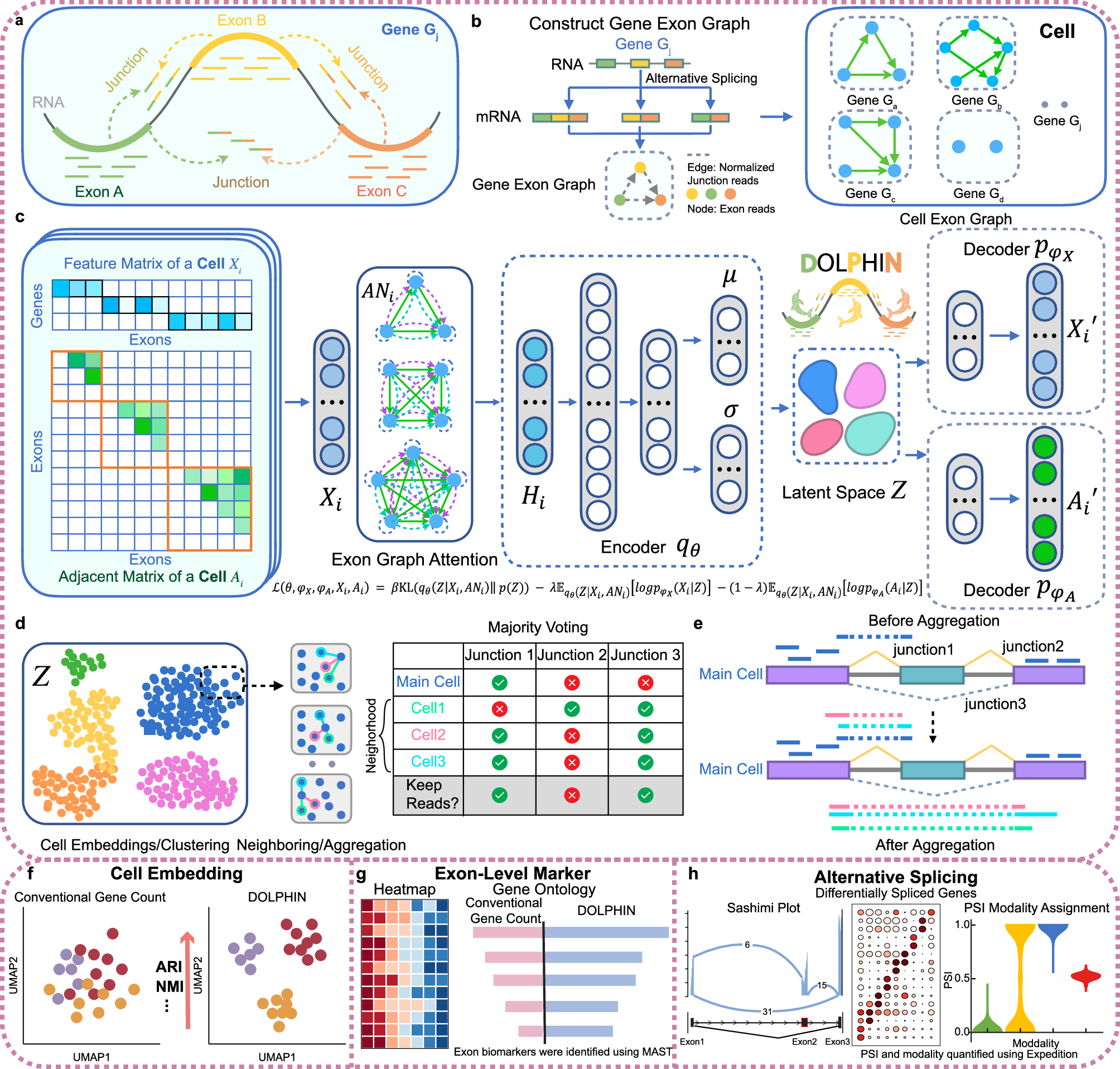 sgqcheng's tweet card. Nature Communications - Single-cell RNA-seq analysis is conventionally limited to gene-level quantification, missing transcript diversity. Here, authors present DOLPHIN, a deep learning method that...