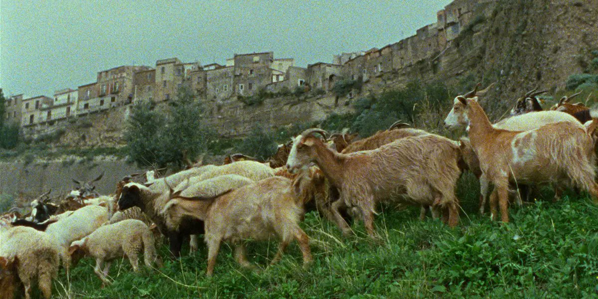 LoudAndClearRvs's tweet card. Michelangelo Frammartino’s debut film Il Dono returns to cinemas, with time only accentuating its capacity to surprise.