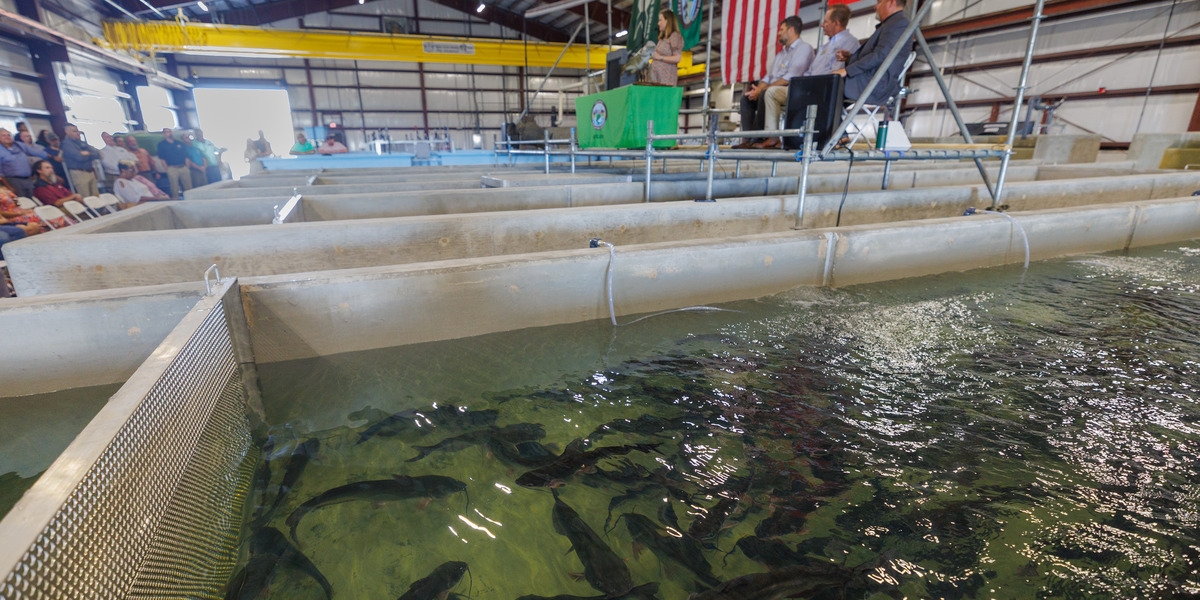JohnBoozman's tweet card. The Arkansas Game and Fish Commission on Wednesday (July 16) dedicated its $16 million renovation of the nearly 100-year old Joe Hogan State Fish Hatchery in Lonoke. It is the...