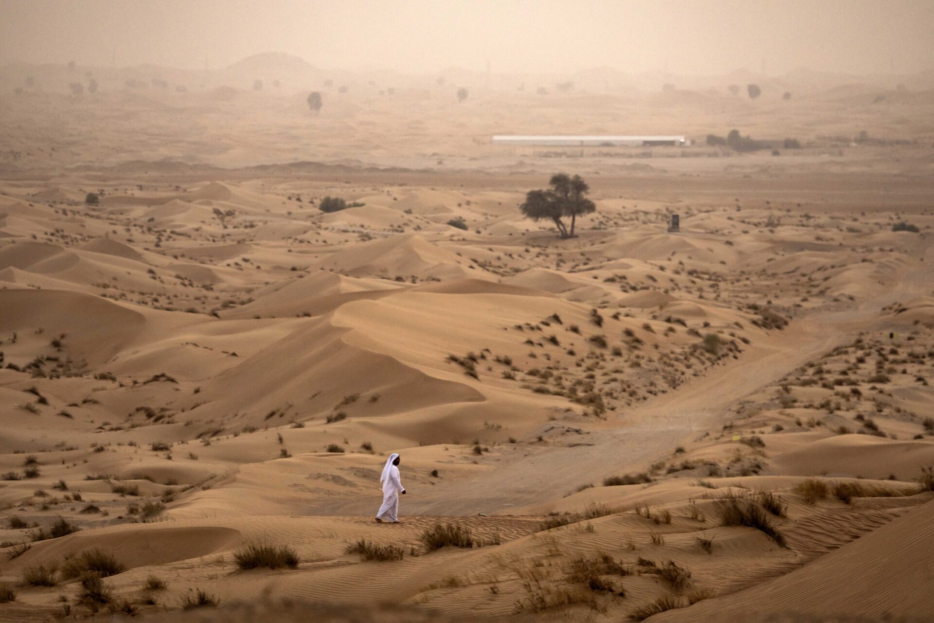 CircuitDotNews's tweet card. The Daily Circuit: New budget Saudi airline + NEOM job cuts
