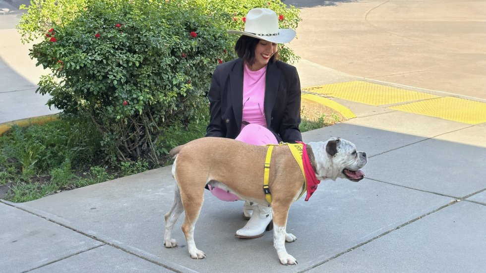 comstocksmag's tweet card. On average, more than 13,000 animals come into Bradshaw Animal Shelter in Sacramento each year. During our Comstock’s photo ...