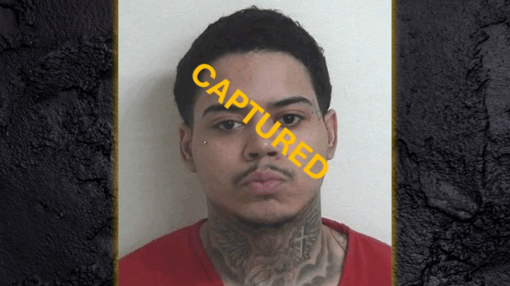 TheMaineWire's tweet card. U.S. Marshals arrested wanted Dominican Trinitarios gang-member Yonaidry Lascano Rosario, 24, on Thursday night in Bethel with assistance from the Maine Violent Offender Task Force (MVOTF) and local...