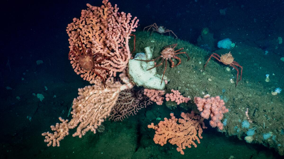 lila_seidman's tweet card. California is closer to meeting its goal of conserving 30% of its lands and coastal waters by 2030, according to a report. But federal threats could roll back progress, officials said.