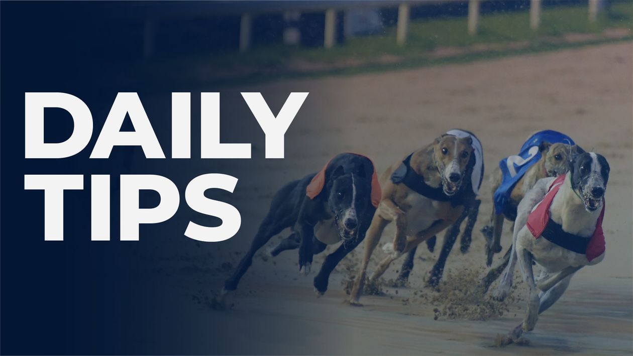 GreyhoundNewsUK's tweet card. Sporting Life have teamed up with Greyhound Racing UK who will be delivering exclusive daily previews and tips for the latest dogs action.