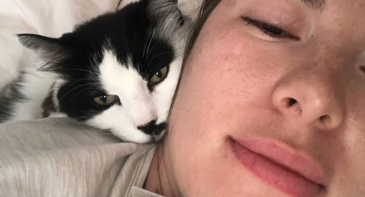 Gothamist's tweet card. A court found the cat had "prospered, loved and been loved" under the care of both women — but only one is entitled to be her owner.