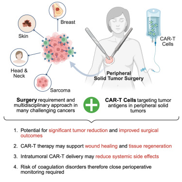 CellRepMed's tweet card. In this review, Knoedler et al. highlight the potential of integrating CAR-T cell therapy with reconstructive surgery for peripheral solid tumors. Combining advanced cellular immunotherapy with...