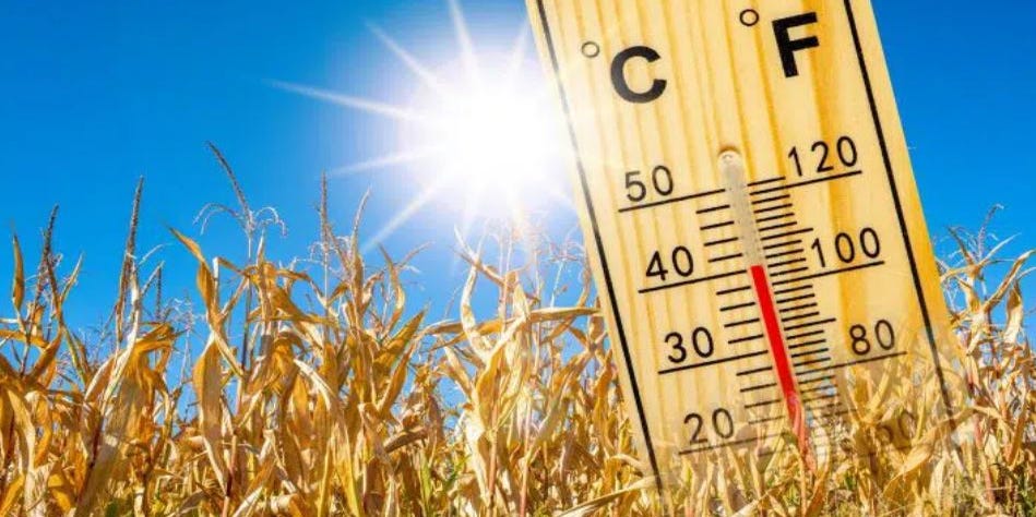 AUG_Chronicle's tweet card. Heat Advisory issued for much of Georgia, with triple-digit heat index expected and storms coming. What to know