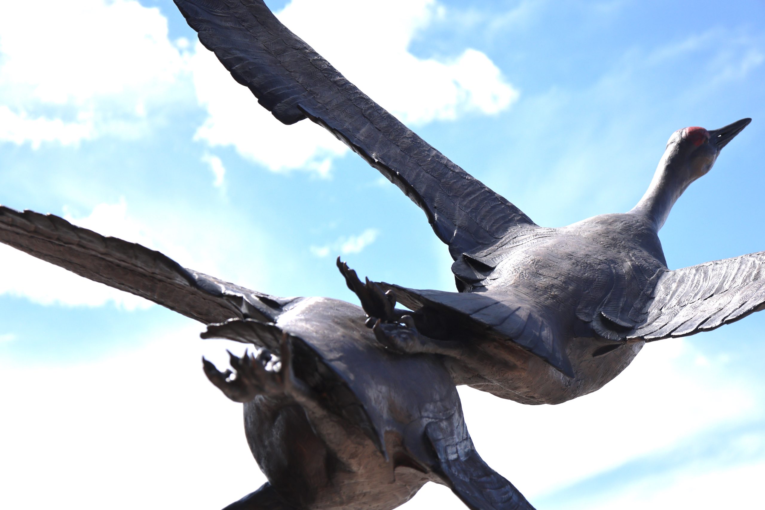 MooreCharitable's tweet card. Jocelyn Russell’s larger-than-life bronze sandhill cranes sculpture a labor of love and community