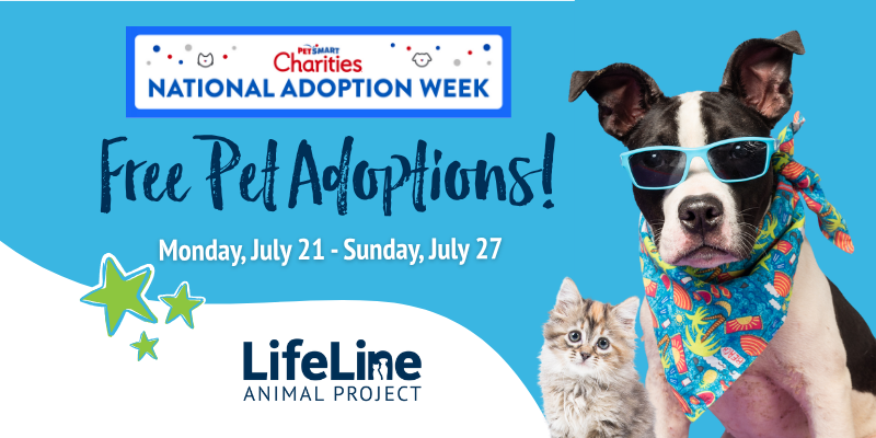 __Granuaile__'s tweet card. Adopt a pet from LifeLine Animal Project today! All dogs and cats are vaccinated, spayed/neutered and microchipped.