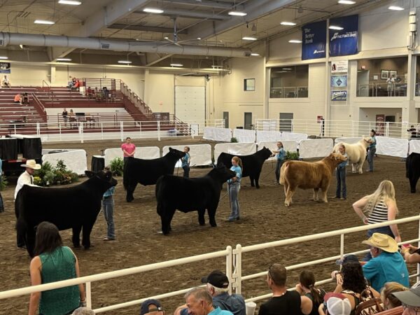 BRNAgNews_Erin's tweet card. The director of the Ohio Department of Agriculture says animal health remains a priority during this year’s state fair season. Brian Baldridge says the department is working closely with animal...