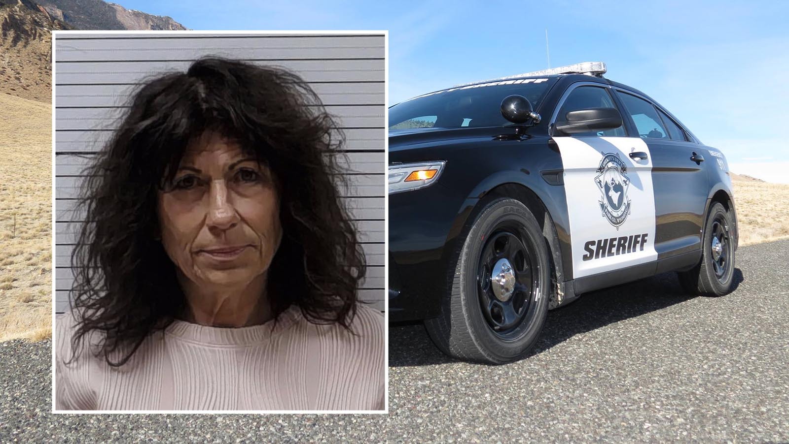 daily_cowboy's tweet card. The mayor of Cody, Wyoming, spent the weekend in the Park County Detention Center. Lee Ann Reiter was arrested early Saturday morning on suspicion of…