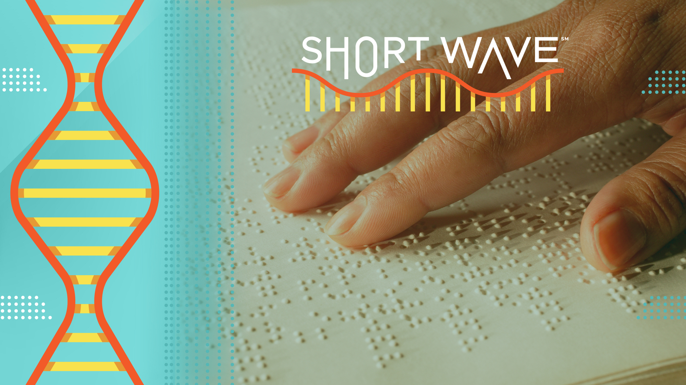 cogscimon's tweet card. For blind and low vision adults, the ability to read braille can be life-changing. Braille literacy is directly linked to higher rates of academic success and better employment outcomes for them. But...