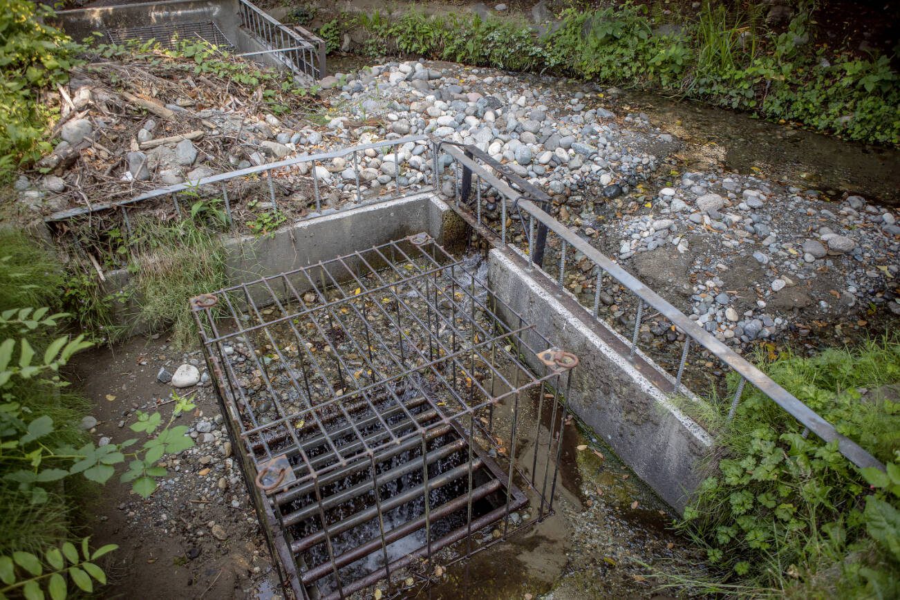 EverettHerald's tweet card. The nonprofit claims the city is breaking state law with the placement of diverters in Perrinville Creek, urges the state Department of Fish and Wildlife to enforce previous orders.