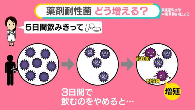 H_Nakaminami's tweet card. 抗菌薬（抗生物質）が効かない細菌「薬剤耐性菌」が増えています。海外の研究チームが、世界中で多くの死者が出る可能性があると明らかにしました。この菌はどう生まれ、増えるのか医師に聞きました。防ぐポイント