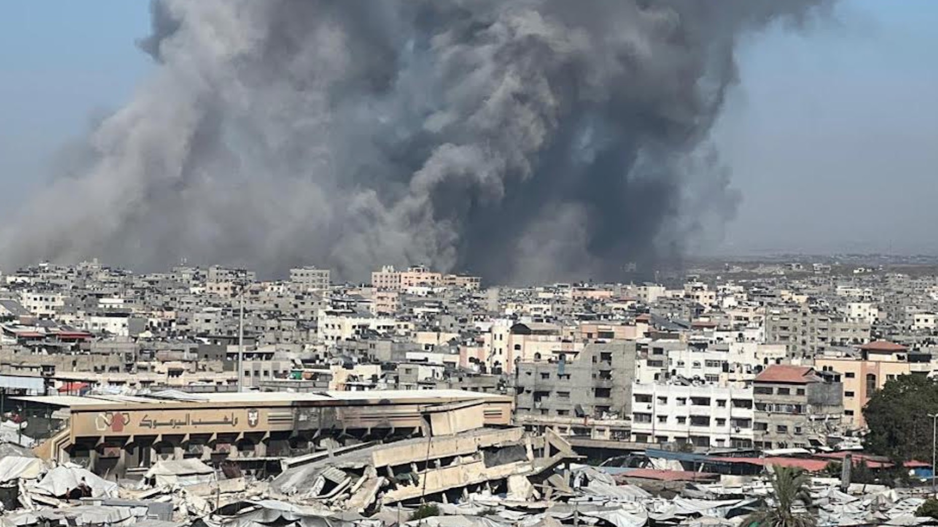 fromgaza99's tweet card. My name is Monica and I'm based in New York City, raising funds for my dear friend Marah and her family who have been displaced from North Gaza.  I've launched this campaign to help secure basic...
