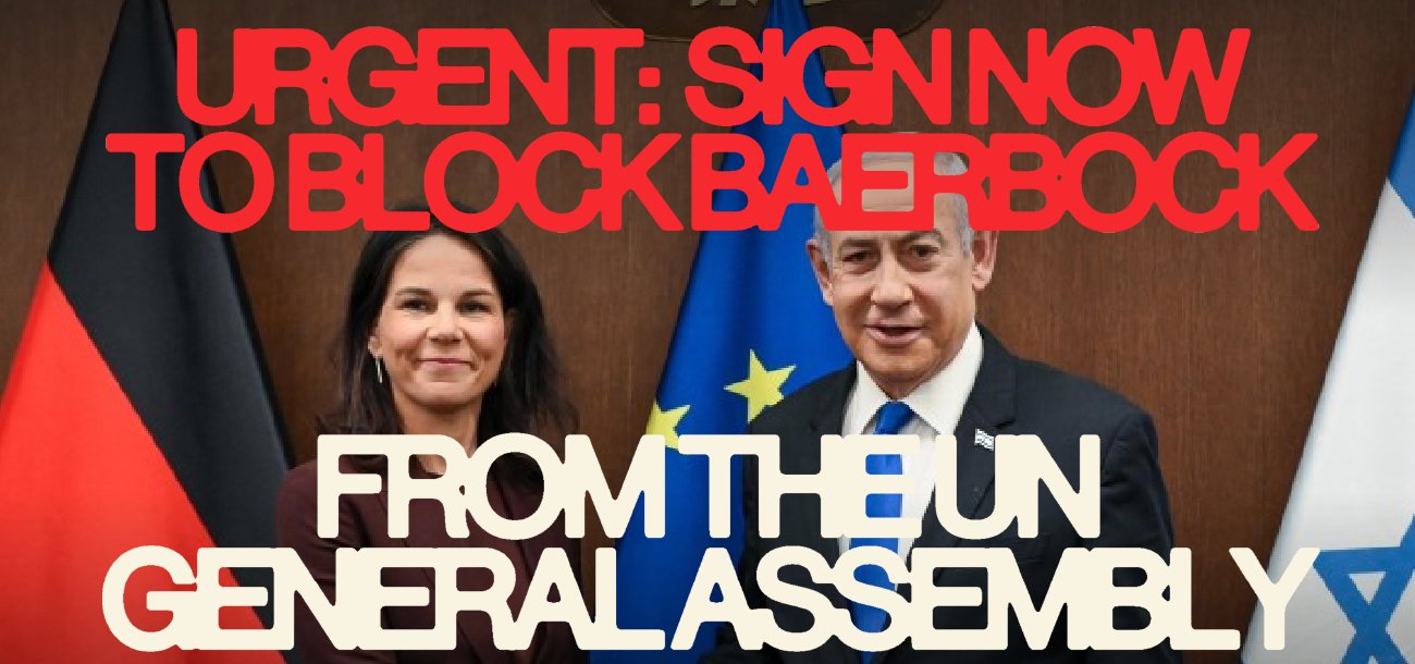 ProgIntl's tweet card. Only a movement millions strong can stop Baerbock's presidency at the United Nations General Assembly.
