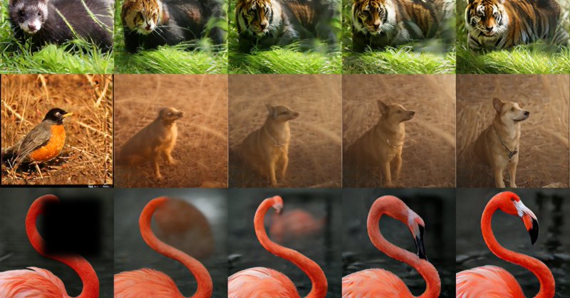 Tweet card summary image
