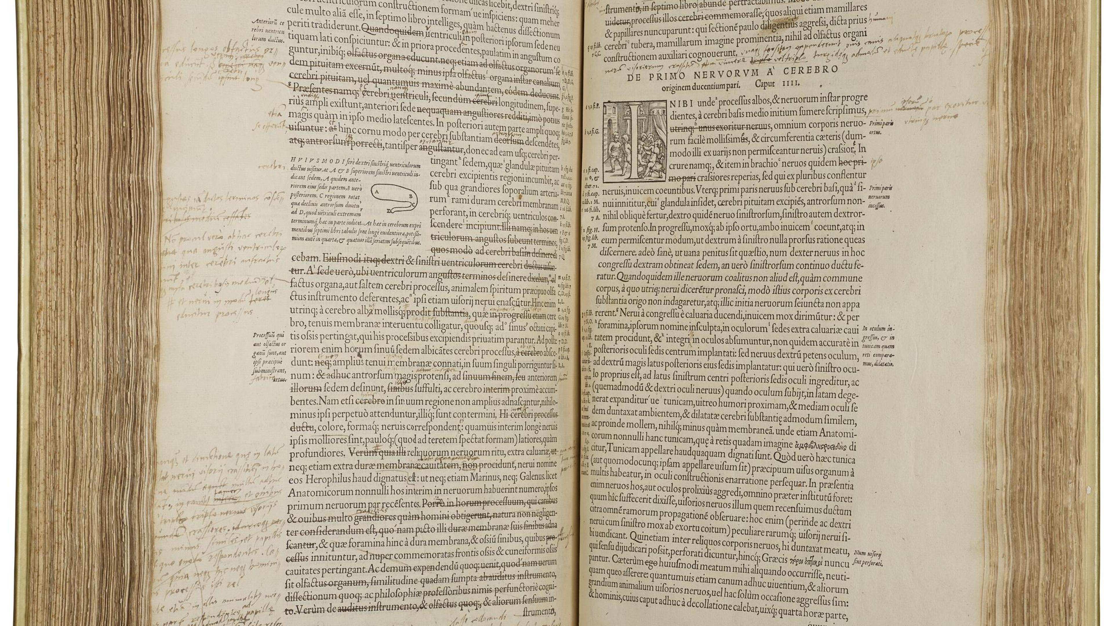 RegaFilip's tweet card. Een exemplaar van De humani corporis fabrica, het meesterwerk van Vesalius – met persoonlijke notities van de auteur zelf – is bij het internationale veilinghuis Christie’s aangekocht door de Vlaamse...