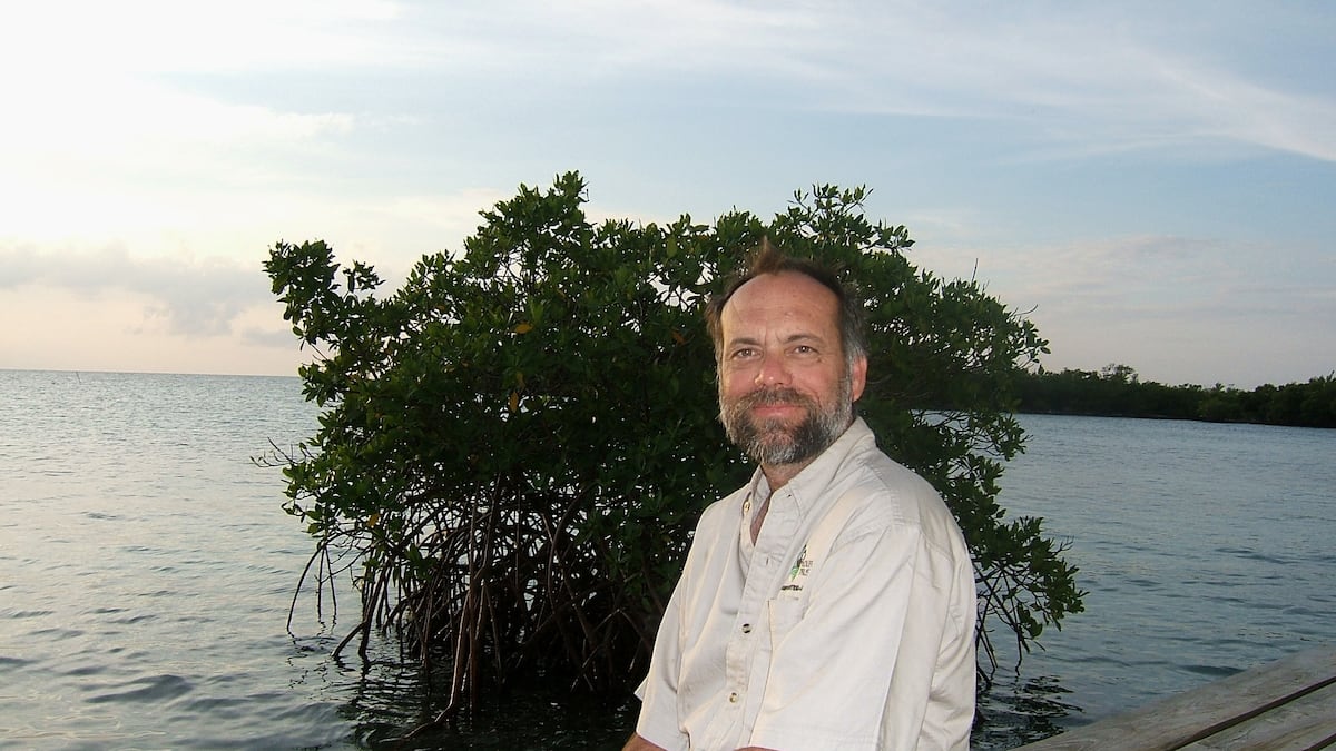 MaxChesnes's tweet card. Powell studied manatees around the world, and is remembered by longtime colleagues as a calm and curious scientist.