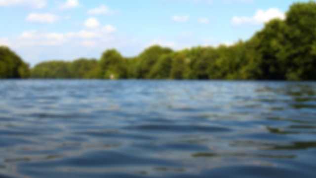 wyffnews4's tweet card. The South Carolina Department of Public Health (DPH) has confirmed a case of Naegleria fowleri, also known as the brain-eating amoeba, in the state.