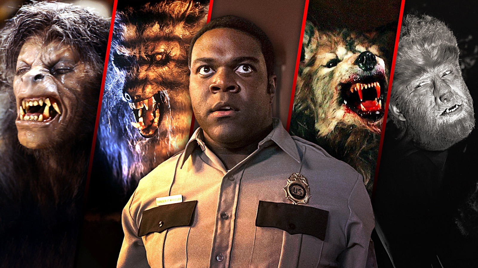 slashfilm's tweet card. For decades, werewolf films have been an integral part of the horror genre. Let's count down the 15 best werewolf movies ever in cinematic history.