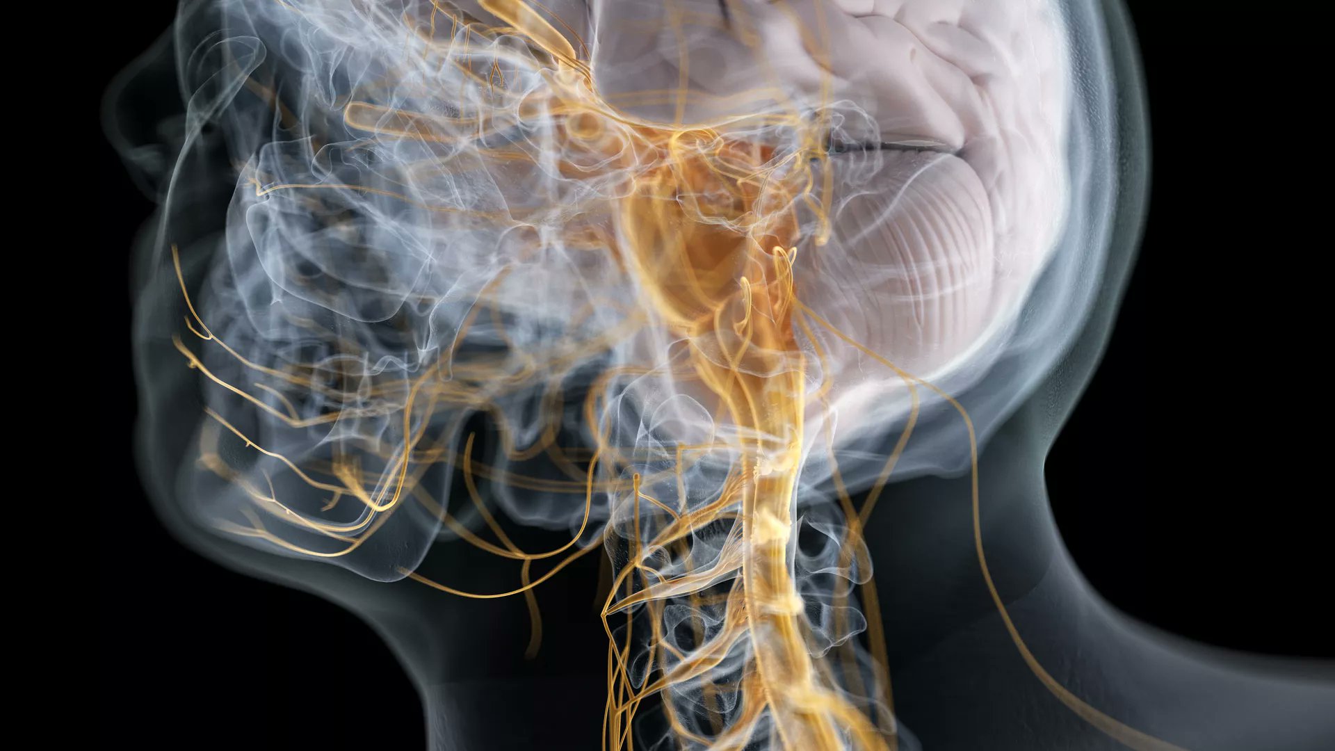 FrontNeurosci's tweet card. Editorial: 15 years of Frontiers in Neuroanatomy: The origin of Parkinson´s DiseaseBarbara Falquetto1, Cristina Nombela2 and Luiz R.G. Britto31 Departme...