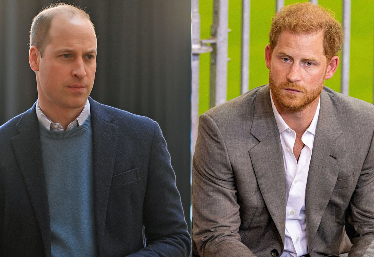 PerezHilton's tweet card. A 20-year-old cousin of both Prince William and Prince Harry has been found dead. According to multiple media reports, Rosie Roche -- the granddaughter of