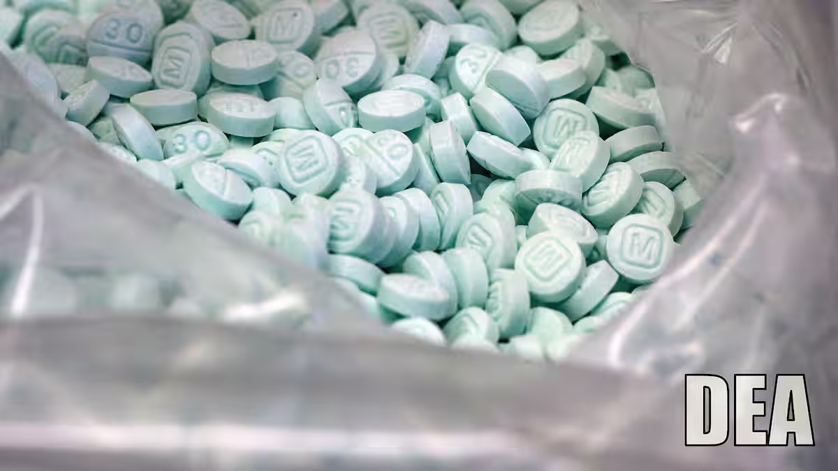JAPAN_Forward_'s tweet card. The fentanyl smuggling and the rising cases of overdoses in the US are not a distant crisis. Japan must take it seriously as its own.