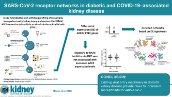 minimalchange's tweet card. COVID-19 morbidity and mortality are increased via unknown mechanisms in patients with diabetes and kidney disease. SARS-CoV-2 uses angiotensin-converting enzyme 2 (ACE2) for entry into host cells....