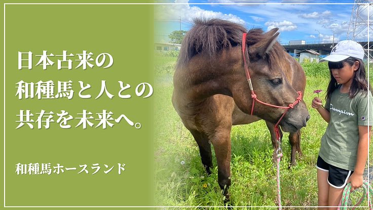 5UEREVs94hPRlPf's tweet card. 絶滅危機の日本在来馬と人が触れ合う場所「和種馬ホースランド」を運営する日本在来馬振興会が、馬具新調や施設整備のために挑戦します。 - クラウドファンディング READYFOR