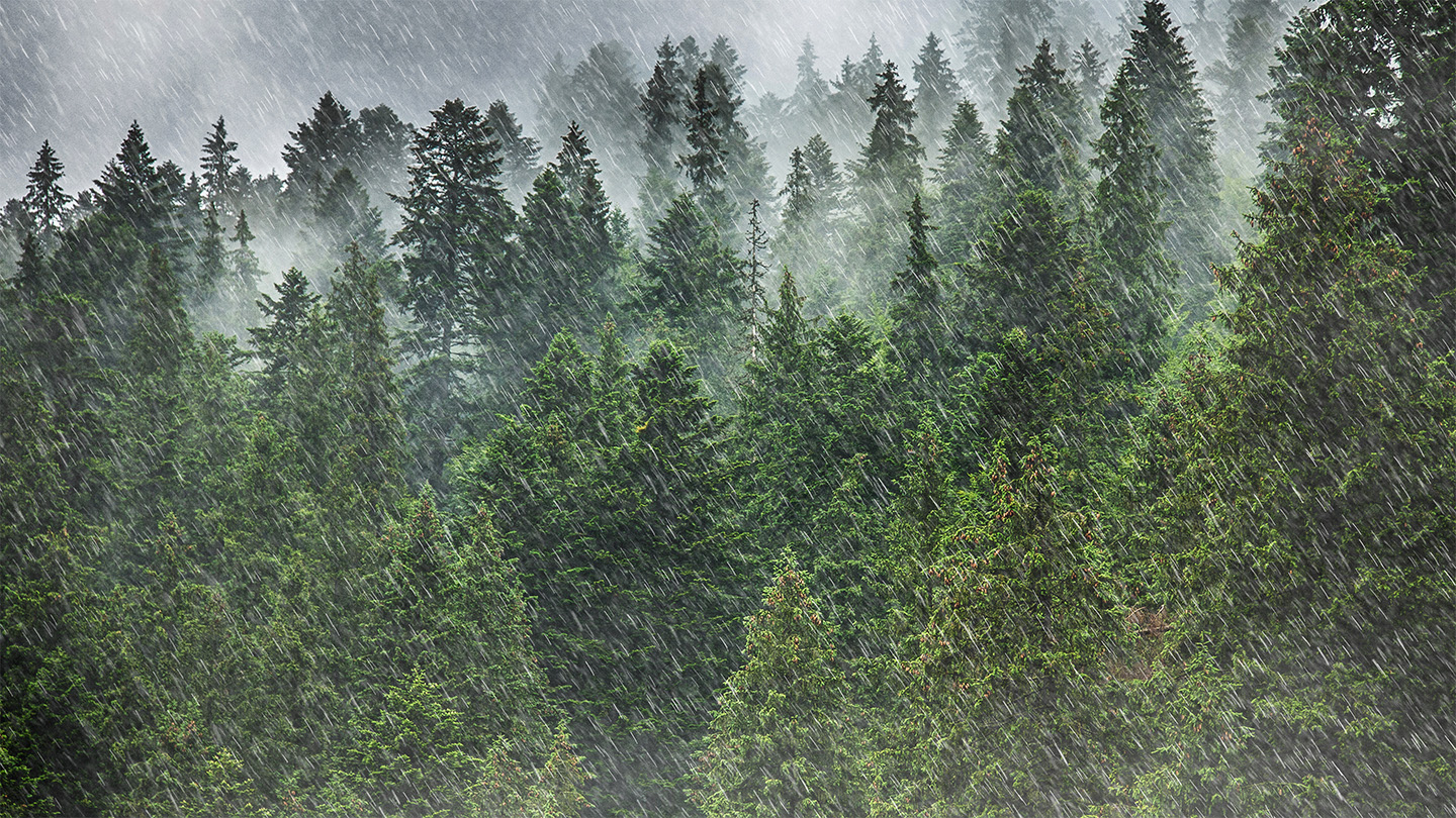 nikkogasa's tweet card. A study of weather on a mountain in Greece reveal that bioparticles in the sky may drive fluctuations in rainfall patterns more broadly.
