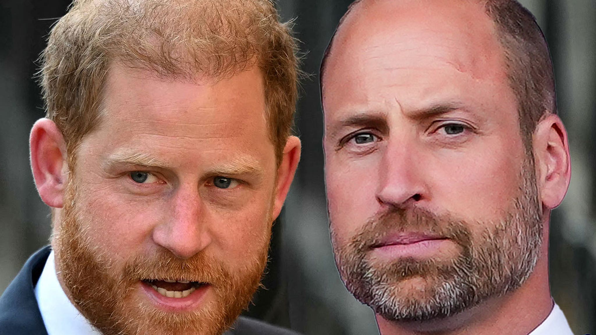 TMZ's tweet card. Prince William and Prince Harry lost a family member ... because one of their cousins was found dead in England ... and there was a gun nearby.