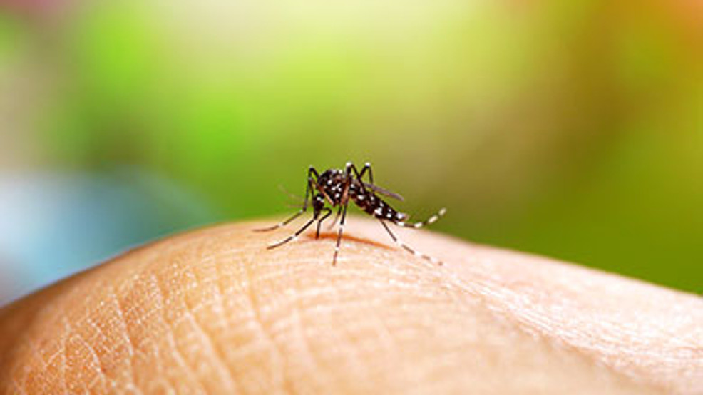 bakersfieldnow's tweet card. Are you concerned with the West Nile Virus now that it has been confirmed in Kern County?